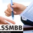 LEAN SIX SIGMA MASTER BLACK BELT