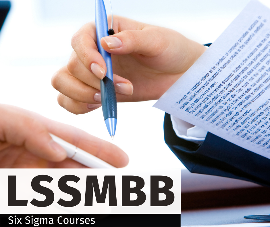 Lean Six Sigma Master Black Belt