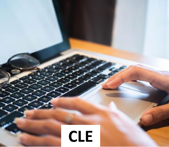 Certified Lean Expert (CLE)